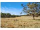 221 Gum Flat Road, Tenterfield NSW 2372