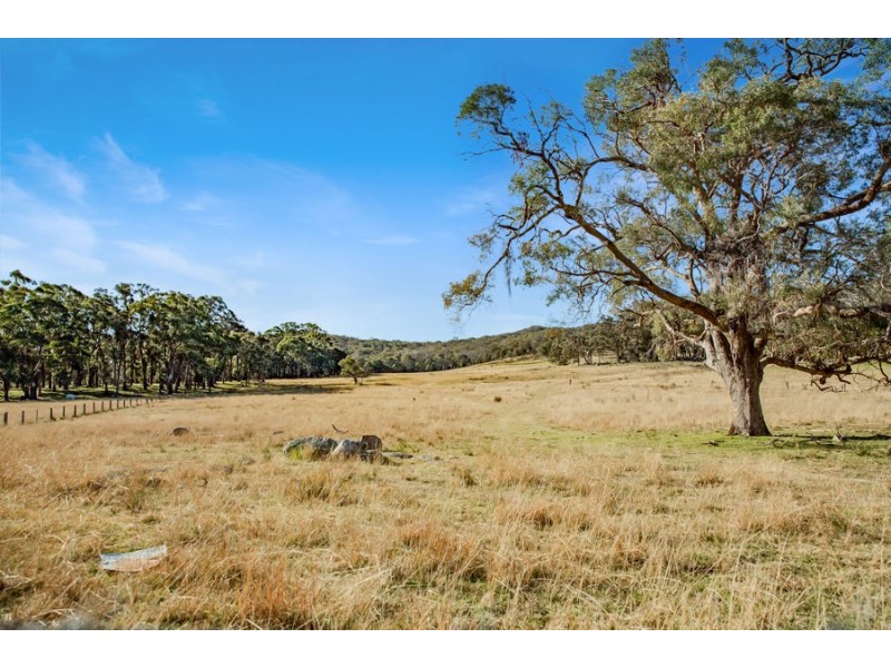 221 Gum Flat Road, Tenterfield NSW 2372