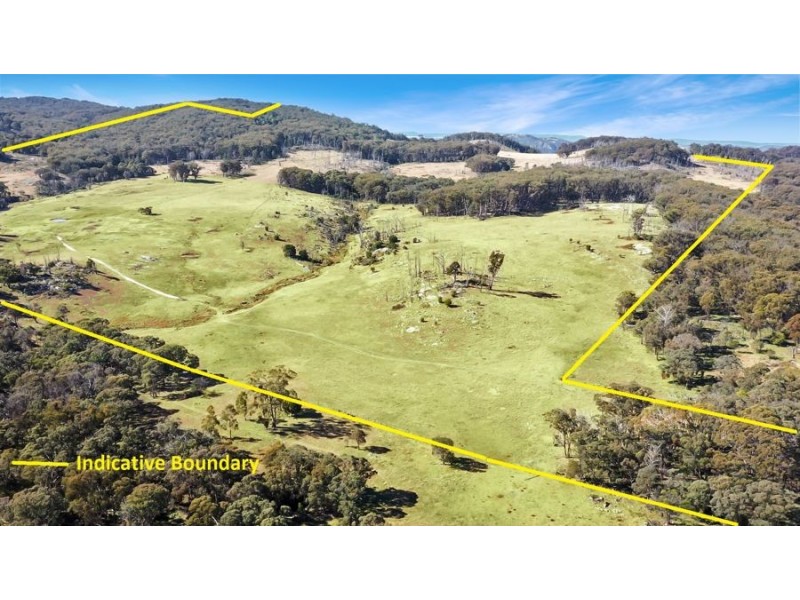 221 Gum Flat Road, Tenterfield NSW 2372