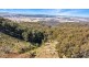221 Gum Flat Road, Tenterfield NSW 2372