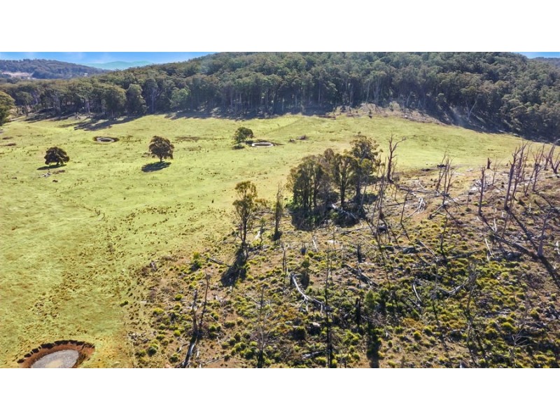 221 Gum Flat Road, Tenterfield NSW 2372