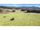 221 Gum Flat Road, Tenterfield NSW 2372