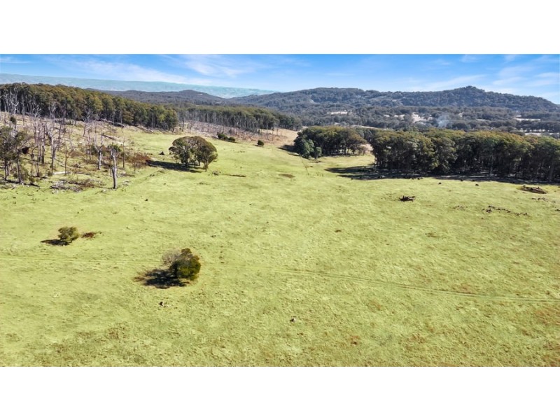 221 Gum Flat Road, Tenterfield NSW 2372