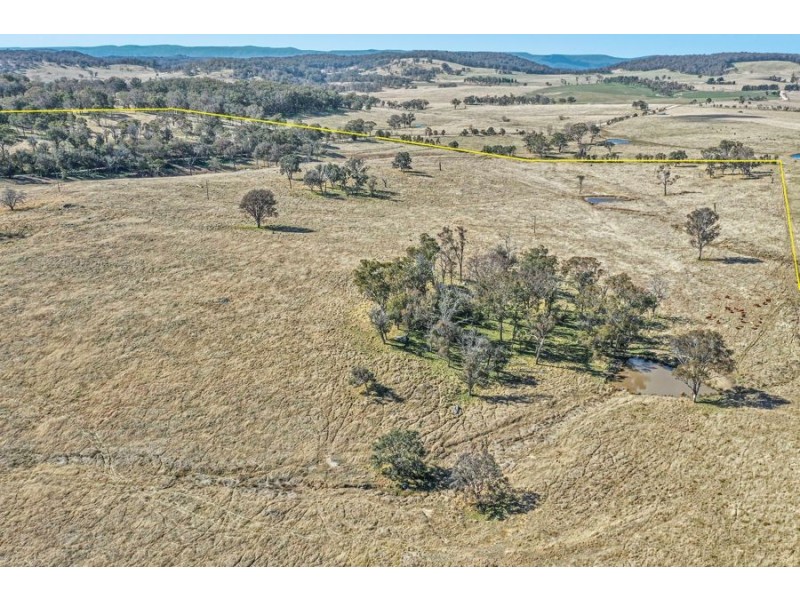1128 Scrub Road, Tenterfield NSW 2372