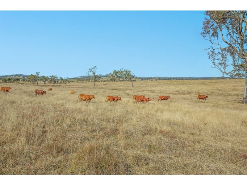 1128 Scrub Road, Tenterfield NSW 2372