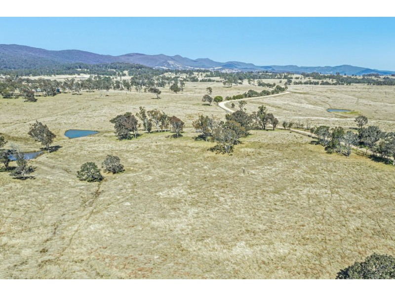 1128 Scrub Road, Tenterfield NSW 2372