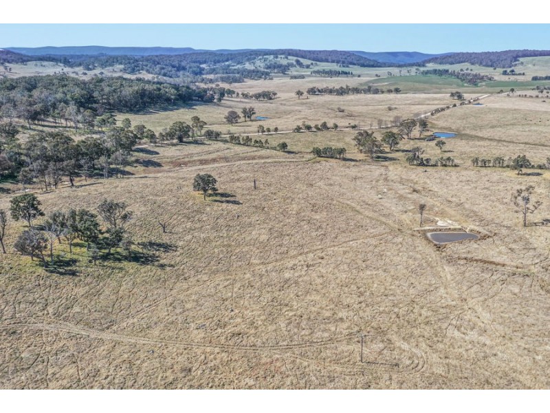 1128 Scrub Road, Tenterfield NSW 2372