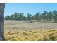 1128 Scrub Road, Tenterfield NSW 2372