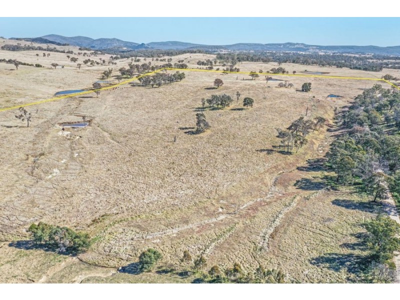 1128 Scrub Road, Tenterfield NSW 2372