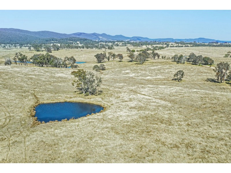 1128 Scrub Road, Tenterfield NSW 2372