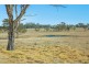 1128 Scrub Road, Tenterfield NSW 2372