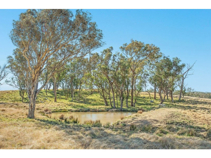 1128 Scrub Road, Tenterfield NSW 2372