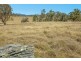 1128 Scrub Road, Tenterfield NSW 2372