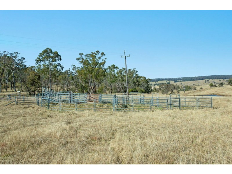 1128 Scrub Road, Tenterfield NSW 2372