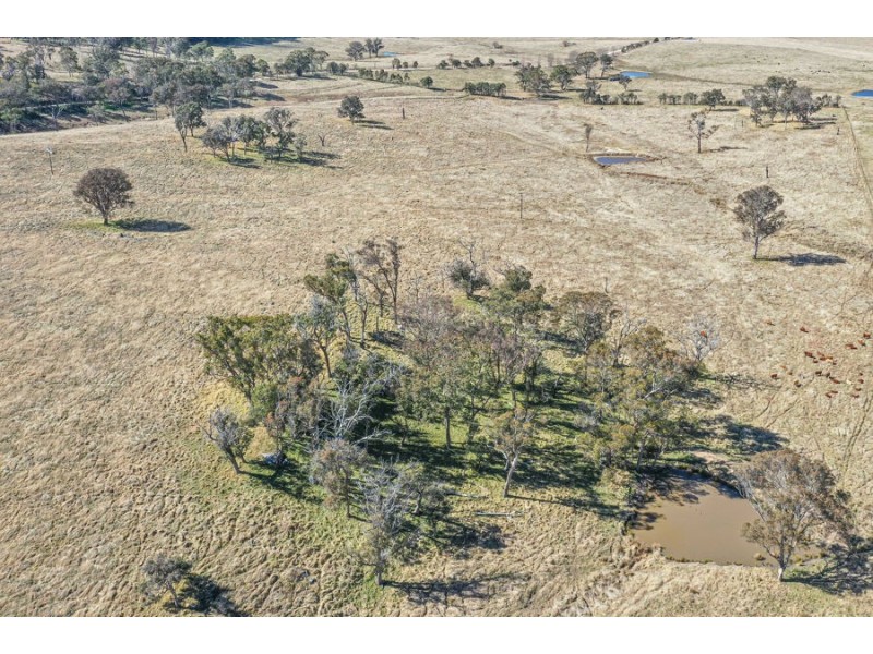 1128 Scrub Road, Tenterfield NSW 2372