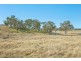 1128 Scrub Road, Tenterfield NSW 2372
