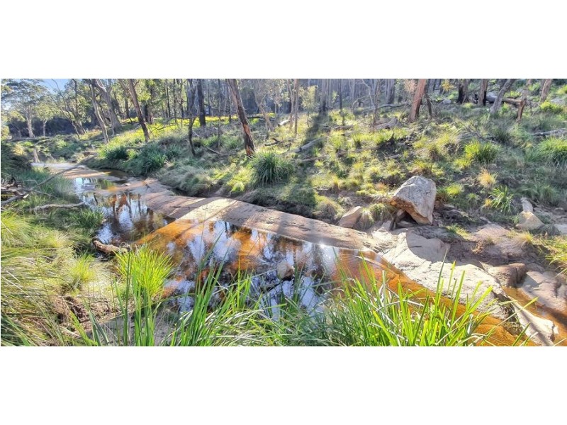 1224 Mount McKenzie Road, Tenterfield NSW 2372