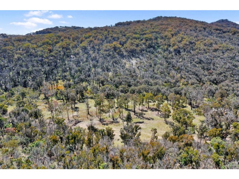 1224 Mount McKenzie Road, Tenterfield NSW 2372