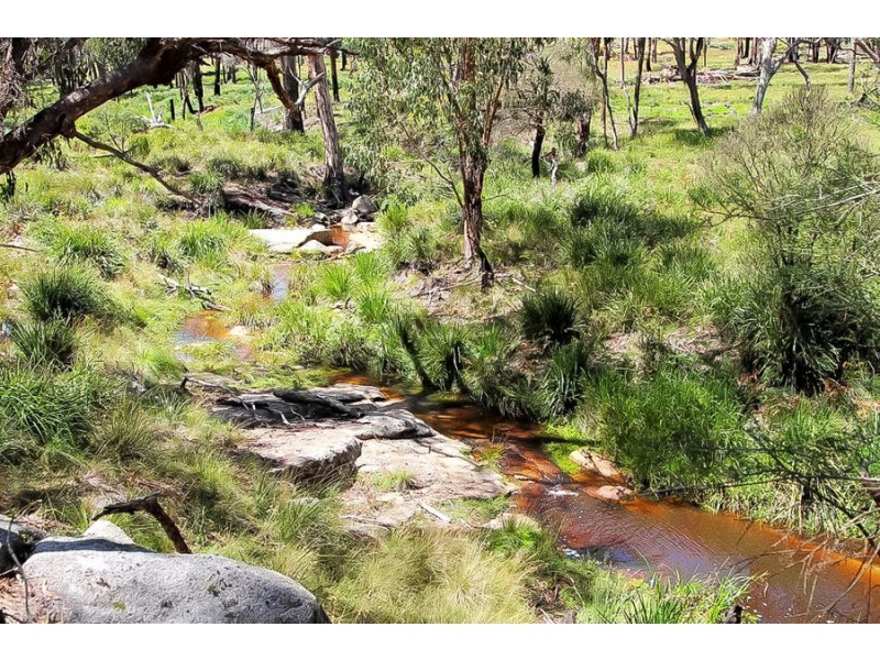 1224 Mount McKenzie Road, Tenterfield NSW 2372