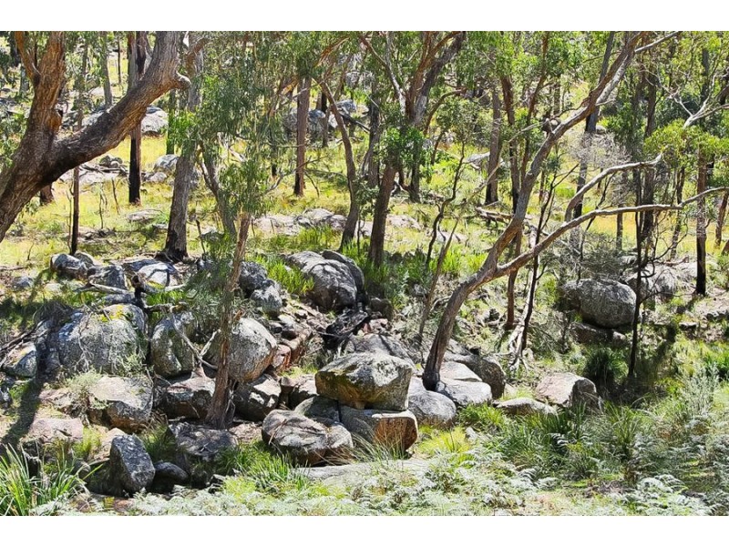 1224 Mount McKenzie Road, Tenterfield NSW 2372