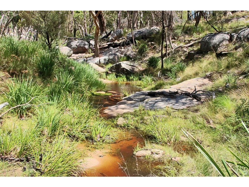 1224 Mount McKenzie Road, Tenterfield NSW 2372