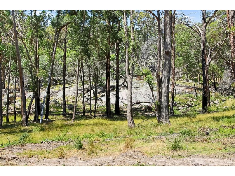 1224 Mount McKenzie Road, Tenterfield NSW 2372