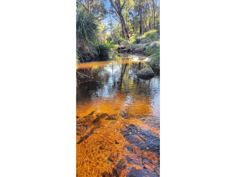 1224 Mount McKenzie Road, Tenterfield NSW 2372