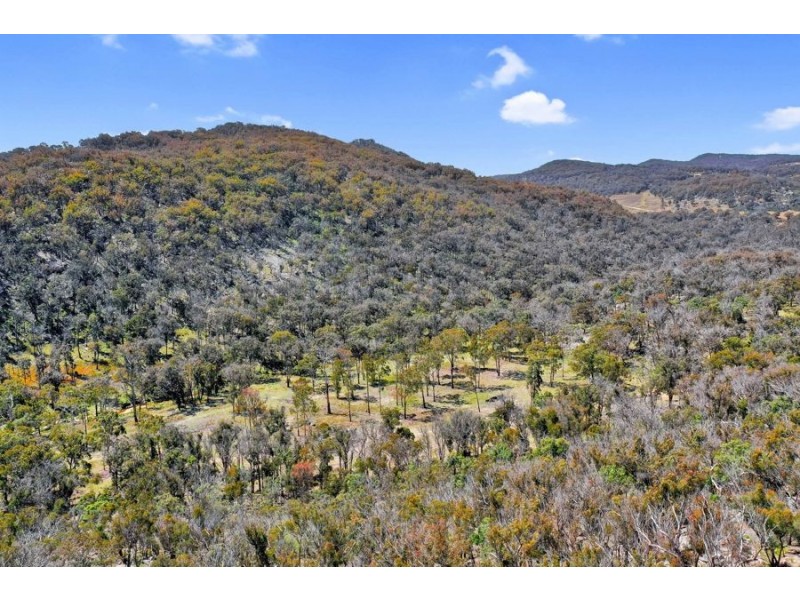 1224 Mount McKenzie Road, Tenterfield NSW 2372