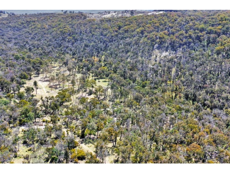 1224 Mount McKenzie Road, Tenterfield NSW 2372