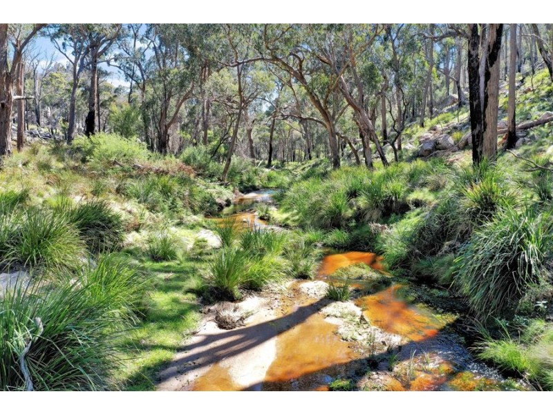 1224 Mount McKenzie Road, Tenterfield NSW 2372