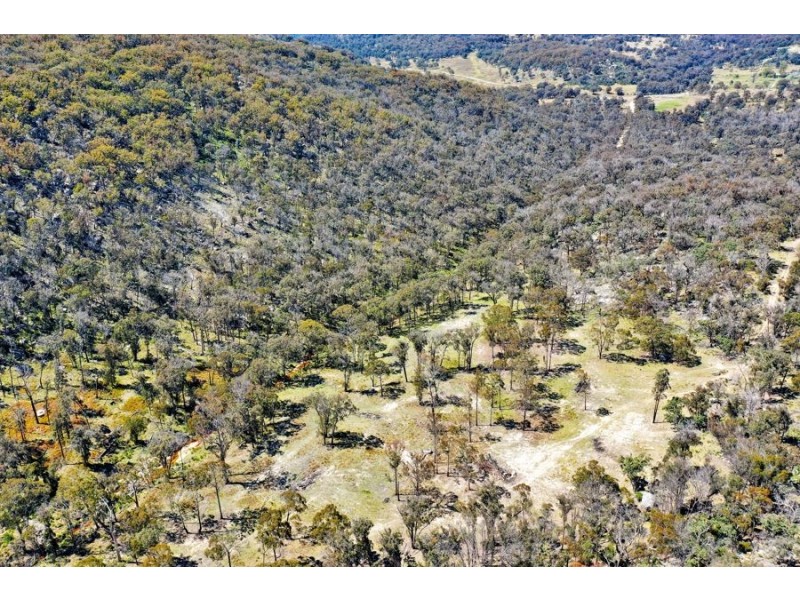 1224 Mount McKenzie Road, Tenterfield NSW 2372