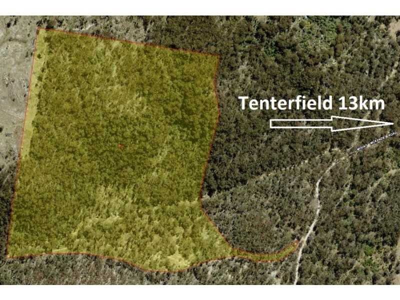 1224 Mount McKenzie Road, Tenterfield NSW 2372