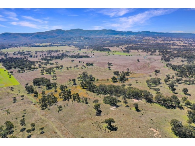 1623 Bruxner Way, Tenterfield NSW 2372