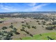 1623 Bruxner Way, Tenterfield NSW 2372