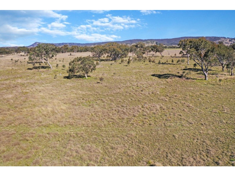 1623 Bruxner Way, Tenterfield NSW 2372