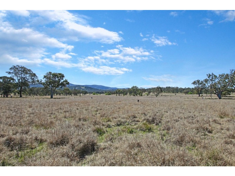 1623 Bruxner Way, Tenterfield NSW 2372