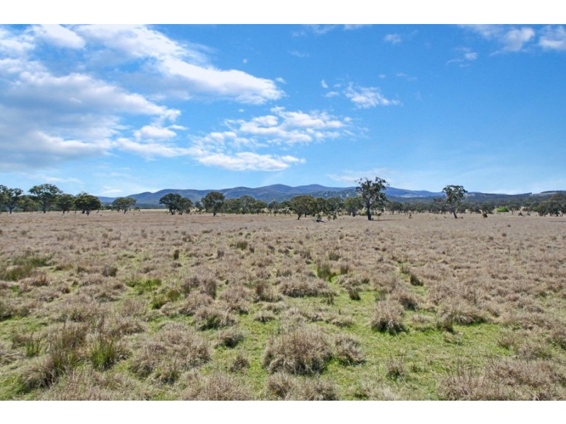 1623 Bruxner Way, Tenterfield NSW 2372