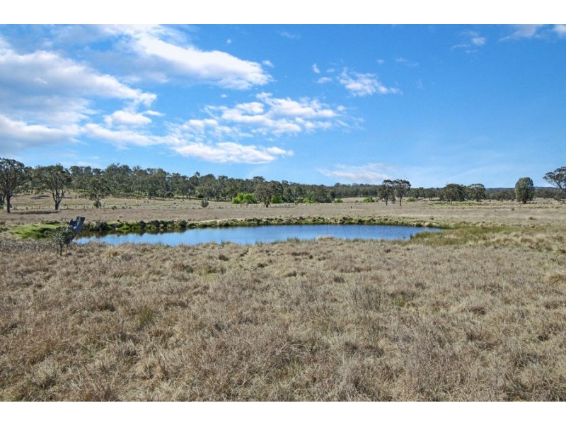 1623 Bruxner Way, Tenterfield NSW 2372