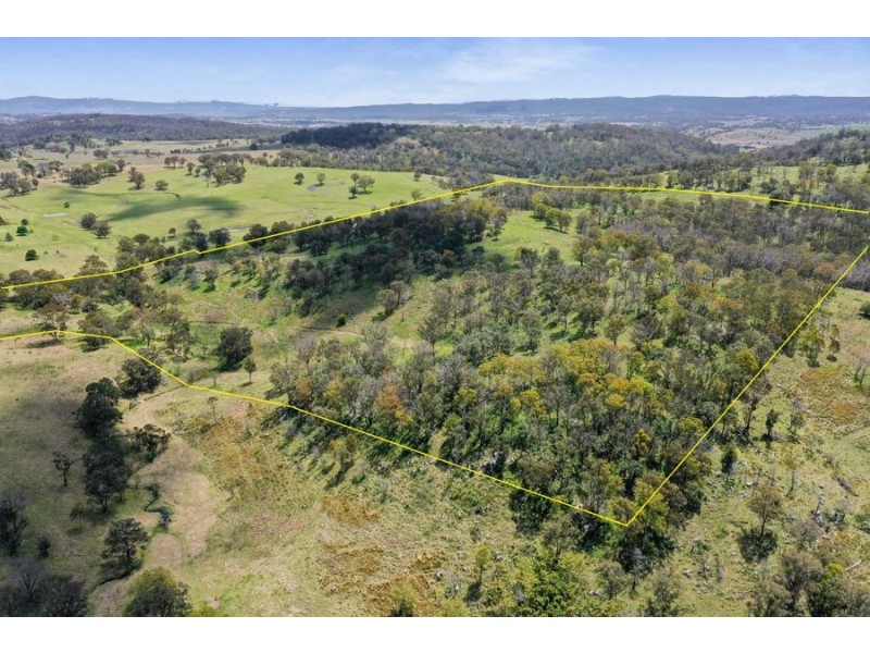 485 Billirimba Road, Tenterfield NSW 2372