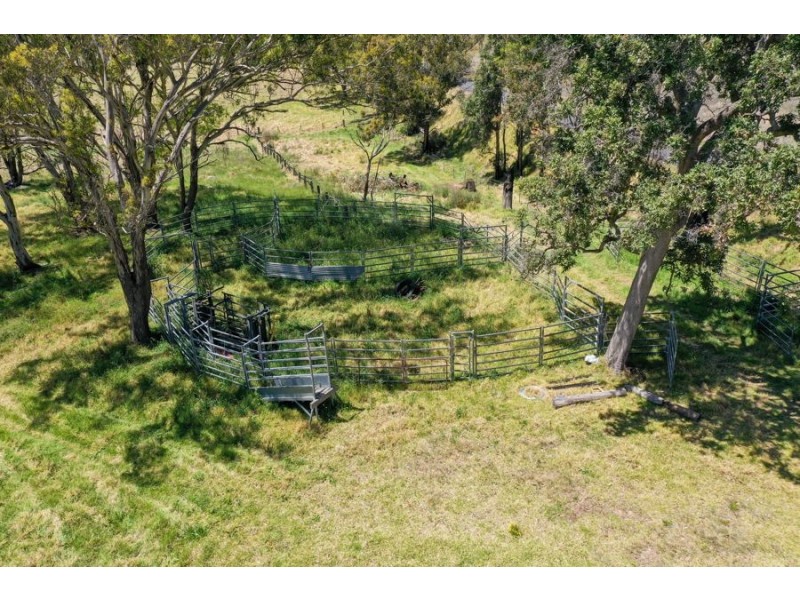485 Billirimba Road, Tenterfield NSW 2372