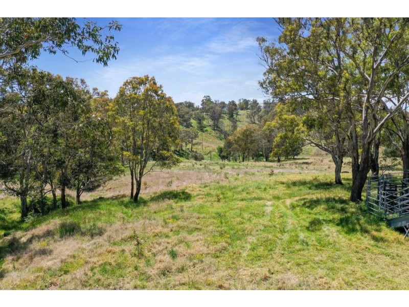 485 Billirimba Road, Tenterfield NSW 2372