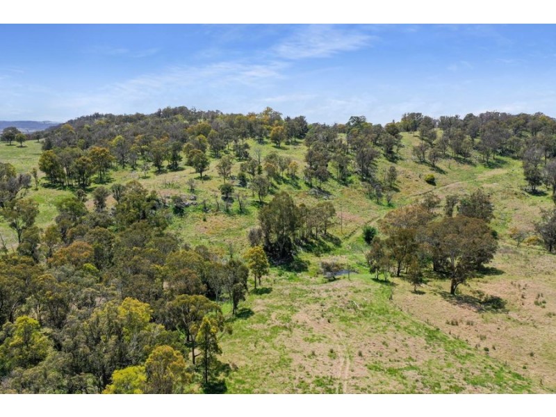 485 Billirimba Road, Tenterfield NSW 2372