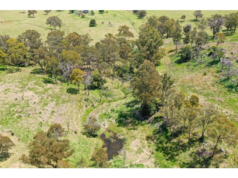 485 Billirimba Road, Tenterfield NSW 2372