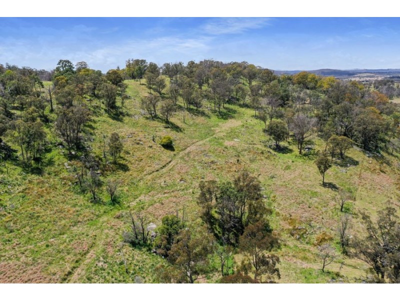 485 Billirimba Road, Tenterfield NSW 2372