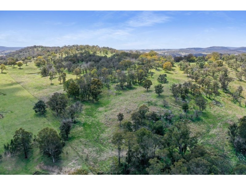 485 Billirimba Road, Tenterfield NSW 2372