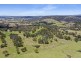 485 Billirimba Road, Tenterfield NSW 2372