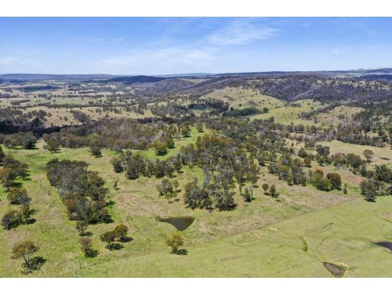 485 Billirimba Road, Tenterfield NSW 2372