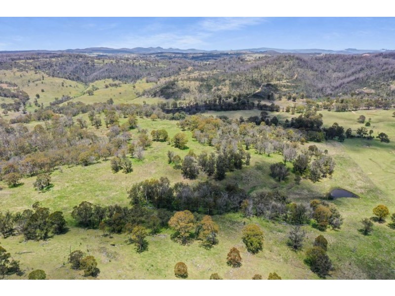 485 Billirimba Road, Tenterfield NSW 2372