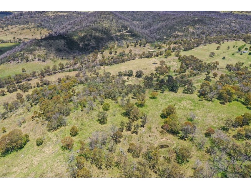 485 Billirimba Road, Tenterfield NSW 2372