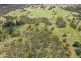 485 Billirimba Road, Tenterfield NSW 2372